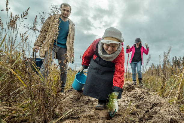 istock Group of different-aged people volunteers planting one year old pine tree seedling 1147297988