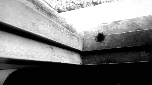 istock Wood texture in black and white! Close up shot. 1147298406