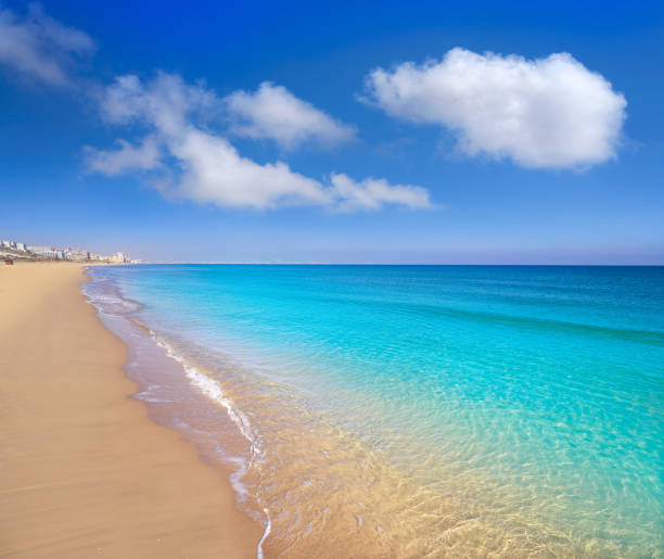 istock El Carabassi beach in Elx Elche of Alicante 1147298549
