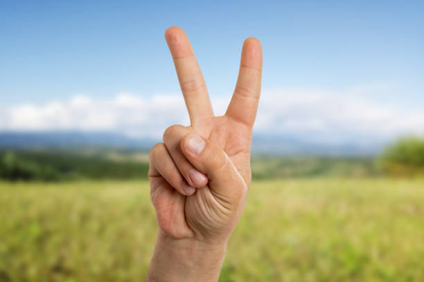 Pacifist man showing peace or victory sign using index and middle fingers with green field as background