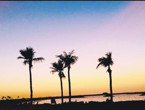 istock Sunset of the coast 1147301401