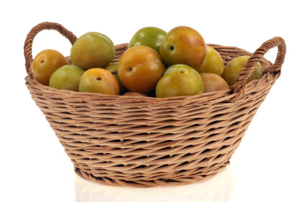 istock Basket of yellow plums on white background 1147302773