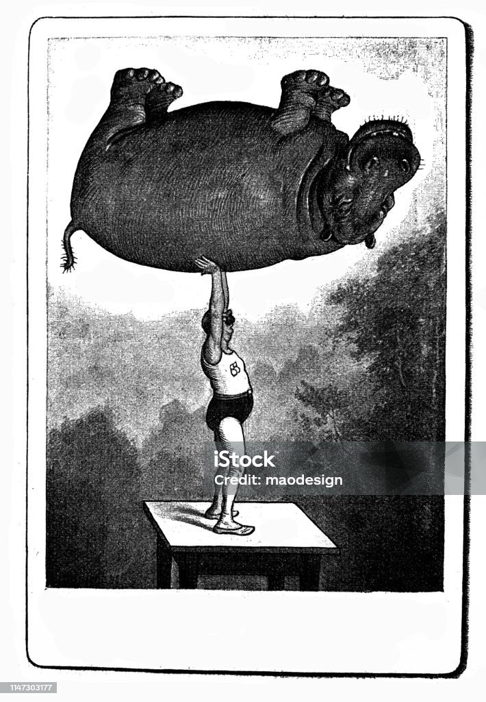 Strength raises the hippo. The tricks of the photographer Old-fashioned stock illustration