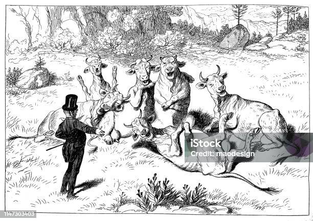 Cow Training Stock Illustration - Download Image Now - Cow, Farm, 1886