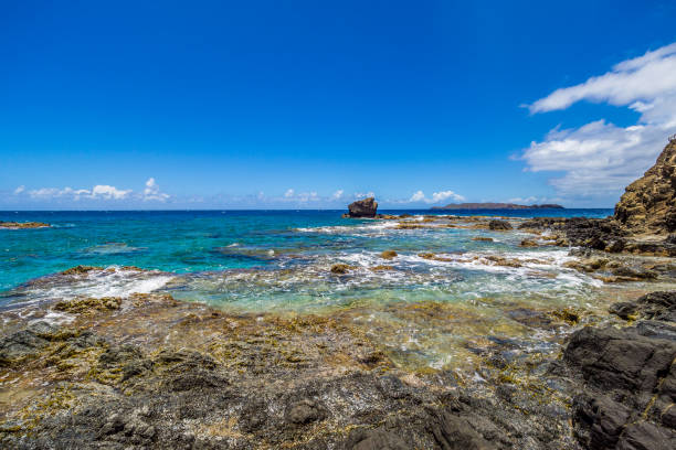 istock Ocean surf on the rocky beach 1147305061