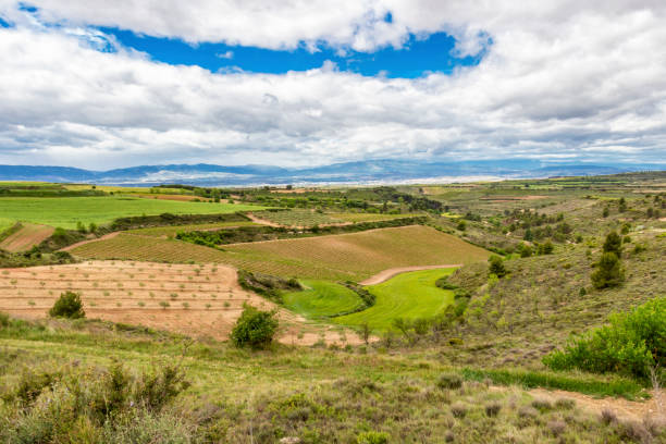 istock Scenic May agricultural landscape in Navarre, Spain 1147305268