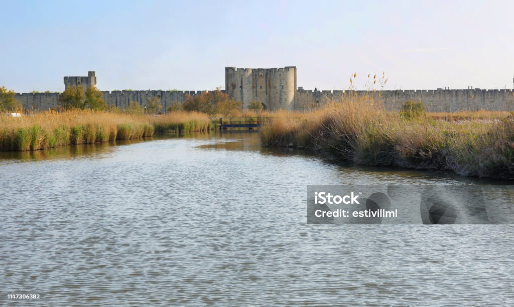 Pond near medieval village of Aigues Mortes, France Pond and salt flats with pampas grass with fortified wall of Aigues Mortes at background, France Aigues-Mortes Stock Photo