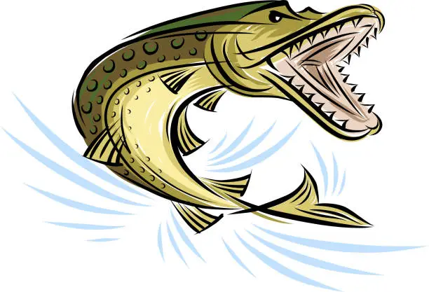 Vector illustration of Fish