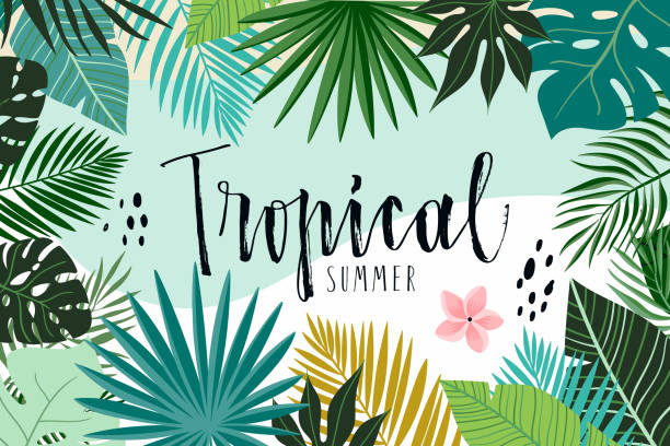 Tropical abstract background Tropical abstract background with hand drawn leaves coconut borders stock illustrations