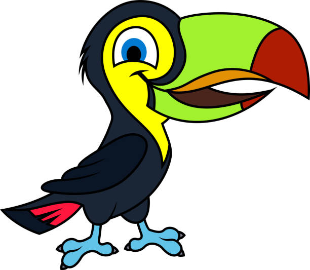 Cute Vector cartoon rainbow-billed toucan Cute Vector cartoon rainbow-billed toucan rainbow toucan stock illustrations