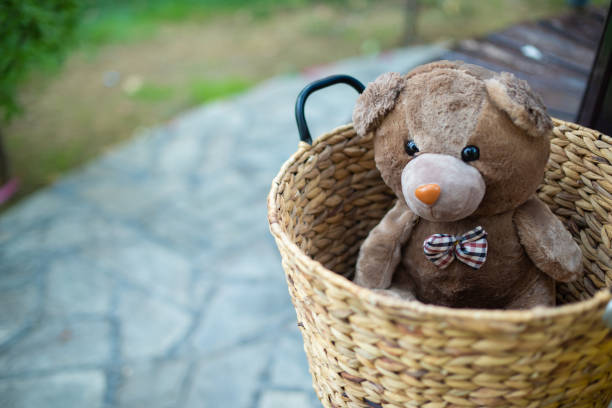istock Alone sweety bear in the basket 1147311714