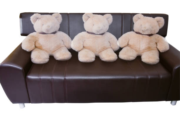 istock Nice and luxury Doll on brown leather sofa on white background. 1147312650