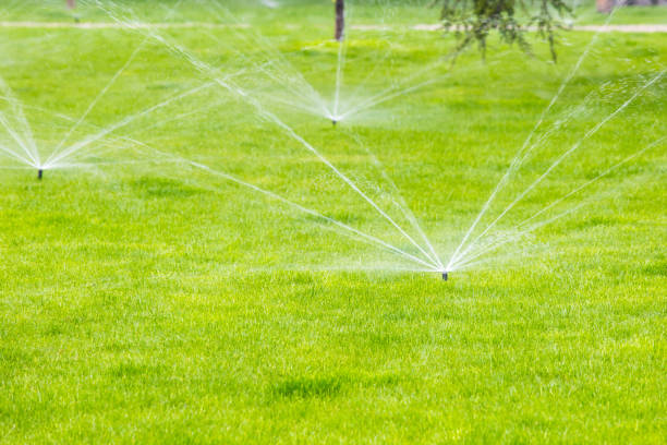 istock Sprinkler watering the grass in the park 1147312865
