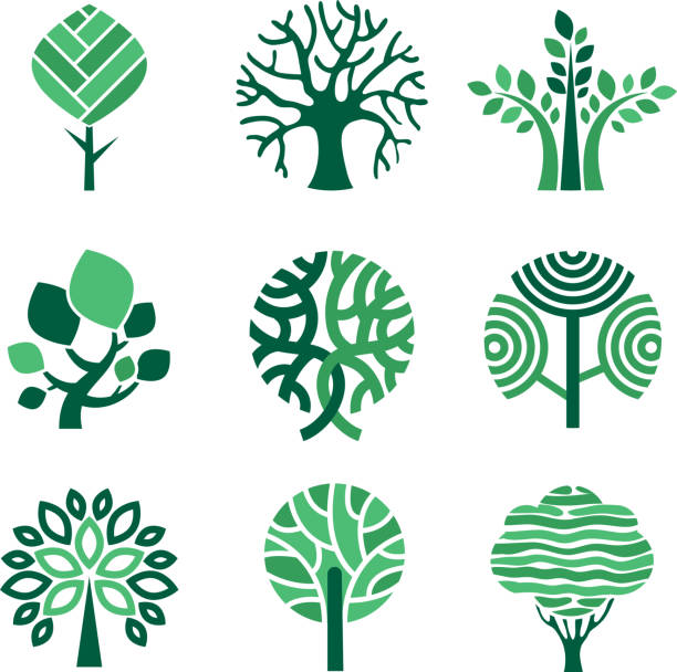 illustrazioni stock, clip art, cartoni animati e icone di tendenza di logo dell'albero. eco simboli verdi natura albero di legno stilizzato immagini vettoriali - computer graphic leaf posing plant