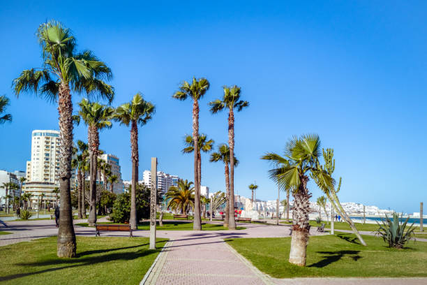 istock Waterfront of Tangier, Morocco 1147314850