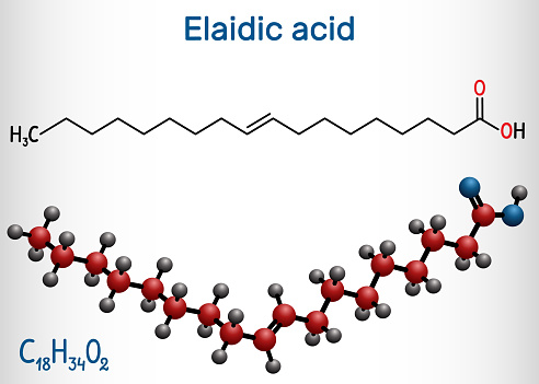 Elaidic acid molecule. Structural chemical formula and molecule model. Vector illustration