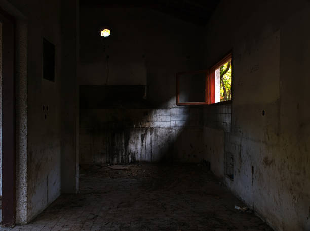 istock Beautiful autumn view from abandoned building interior. 1147319495