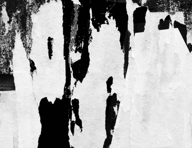 istock Blank white black old ripped torn paper crumpled creased posters grunge textures backdrop backgrounds placard 1147326149