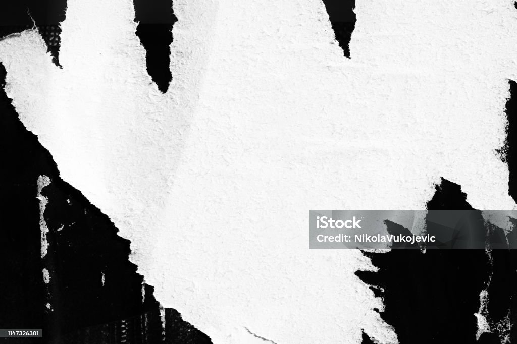 Blanco en blanco negro viejo rasgado papel roto arrugado carteles con textura Grunge texturas telón de fondo fondos cartel - Foto de stock de Rasgado libre de derechos