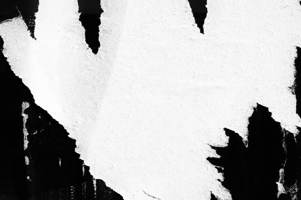 空白の白い黒古いリッピングの破れた紙しわ折り目のポスターグランジテクスチャ背景背景プラカード - 減少 写真 ストックフォトと画像
