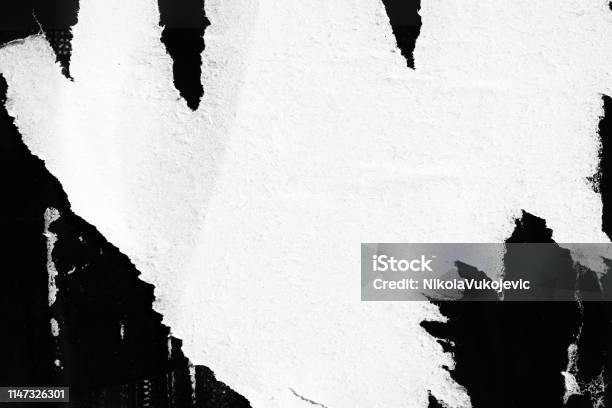 Blank White Black Old Ripped Torn Paper Crumpled Creased Posters Grunge Textures Backdrop Backgrounds Placard Stock Photo - Download Image Now