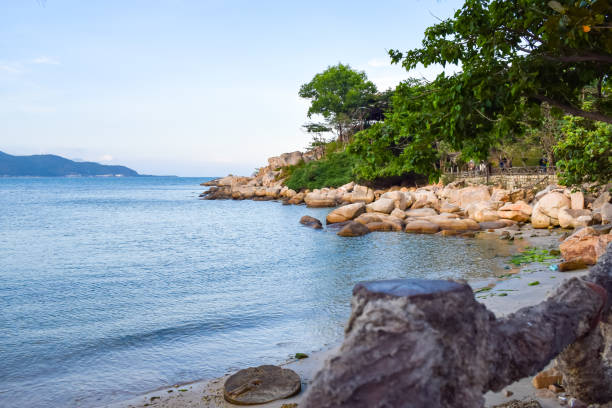 istock Abandoned beach with plenty stones on shore with tropical trees 1147327427