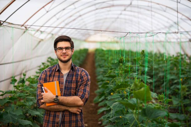 istock Proud young farmer in his greenhouse 1147327945