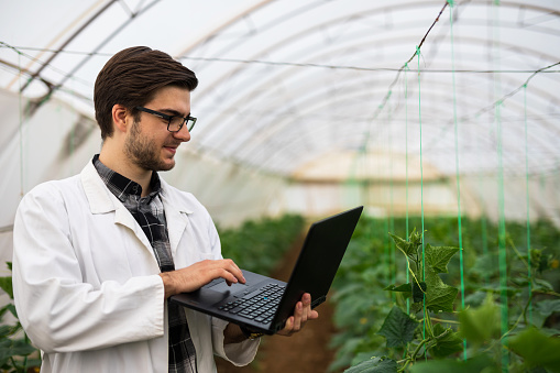 Scientist works on laptop while standing in greenhouse