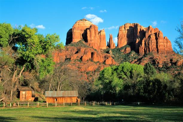 cathédrale rock au début du printemps sedona arizona usa près de red rock crossing le long de oak creek canyon avec roue de l’eau de filature - rock mill photos et images de collection