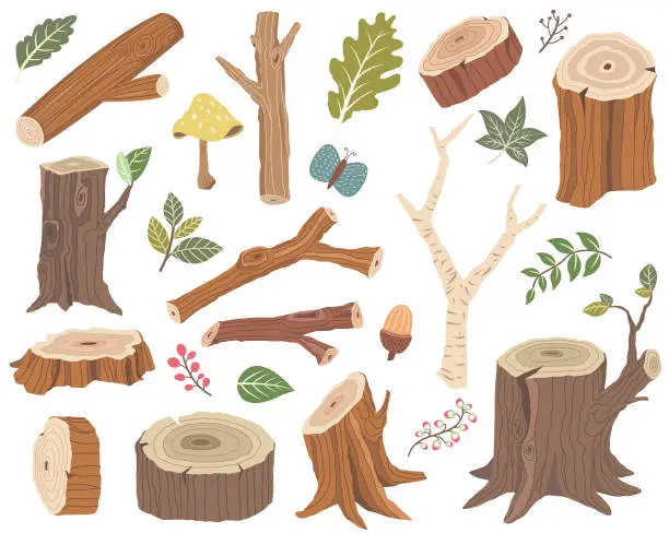 Vector illustration of Nature Wooden Collections Set