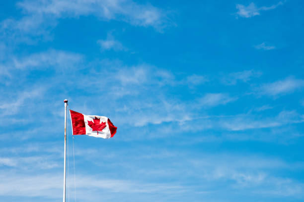 drapeau canadien volant dans le vent - canadian culture leaf symbol nature photos et images de collection