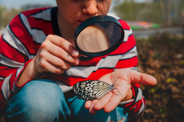 istock boy looking at butterfy, kids learning nature 1147331429