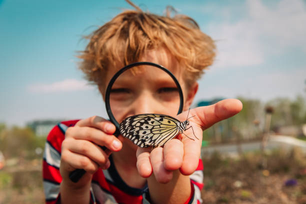 istock boy looking at butterfy, kids learning nature 1147333022