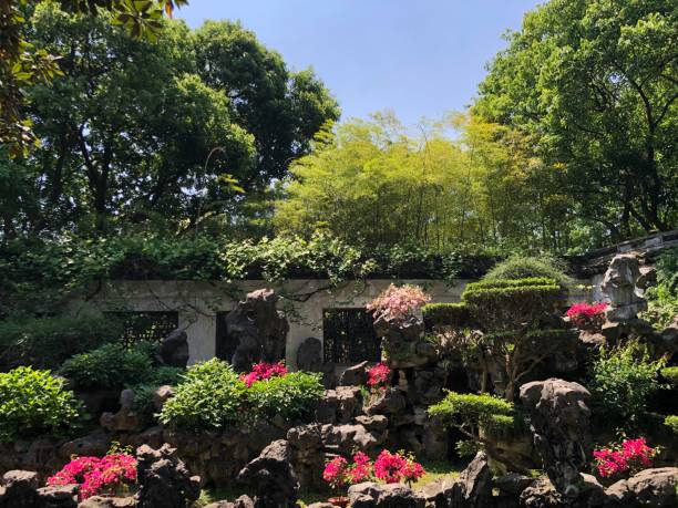 istock Yuyuan garden 1147333405