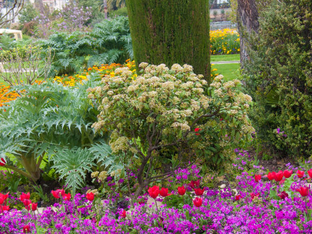 istock flowery garden in the maritime alps 1147333479