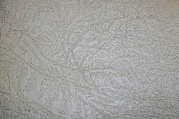 istock Old white skin texture with folds on surface 1147338079