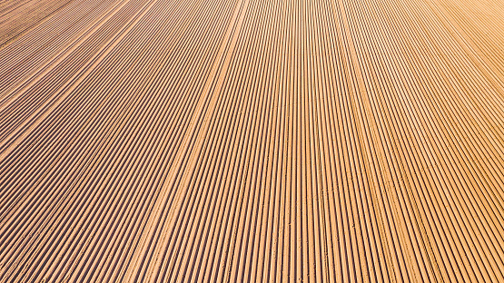 Pattern Planting Soil Aerial View Rows Of Soil Before Planting Row Pattern In A Plowed Field ...