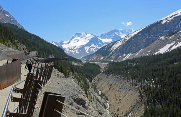 istock Walking to the Skywalk -  Sunwapta Valley 1147340124