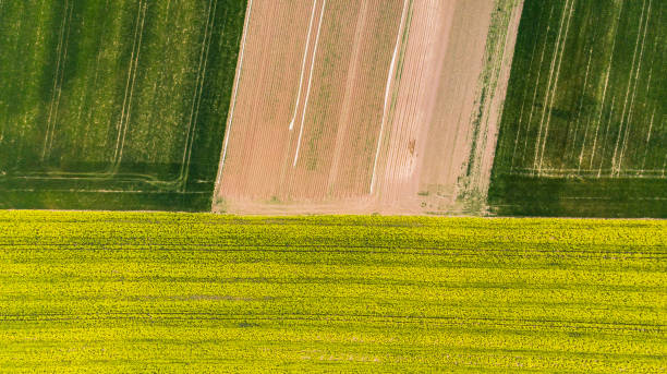istock Colorful patterns in crop fields at farmland, aerial view, drone photo 1147340139