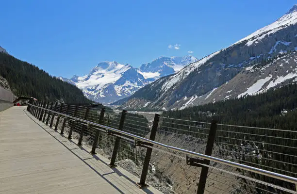 Photo of The trail to Skywalk -  Sunwapta Valley