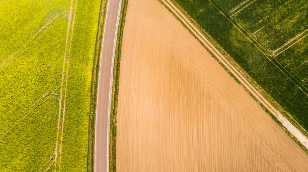 istock Abstract pattern in farmland fields at spring, aerial  view, drone photo 1147340254
