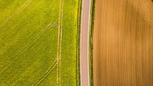 istock Abstract pattern in farmland fields at spring, aerial  view, drone photo 1147340420