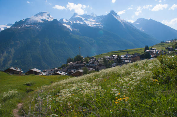 istock Gran Paradiso National Park in the Val d'Aosta 1147341765
