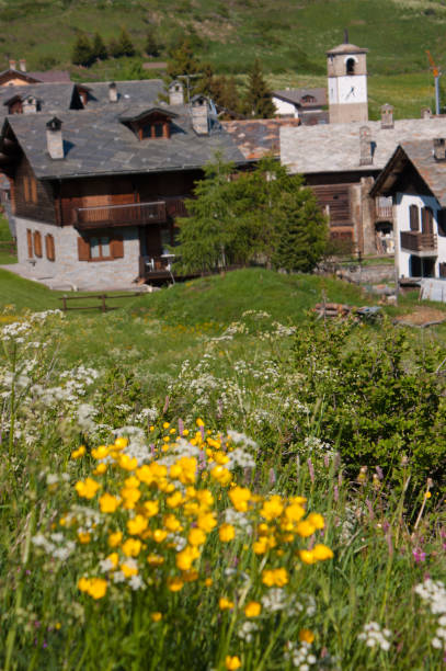 istock Gran Paradiso National Park in the Val d'Aosta 1147342330