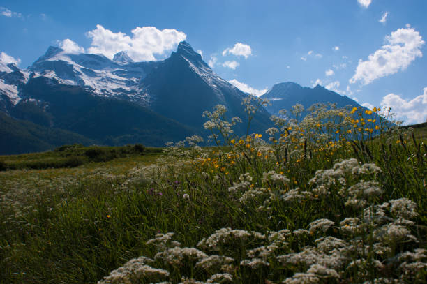 istock Gran Paradiso National Park in the Val d'Aosta 1147342599