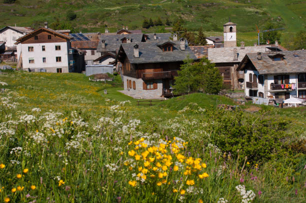 istock Gran Paradiso National Park in the Val d'Aosta 1147342728