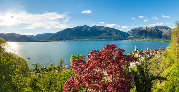 istock Idyllic place at the lake Lago Maggiore 1147343178