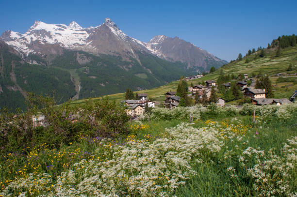 istock Gran Paradiso National Park in the Val d'Aosta 1147344333