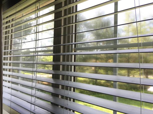 istock An image of white window blinds,  with a view of a backyard 1147344432