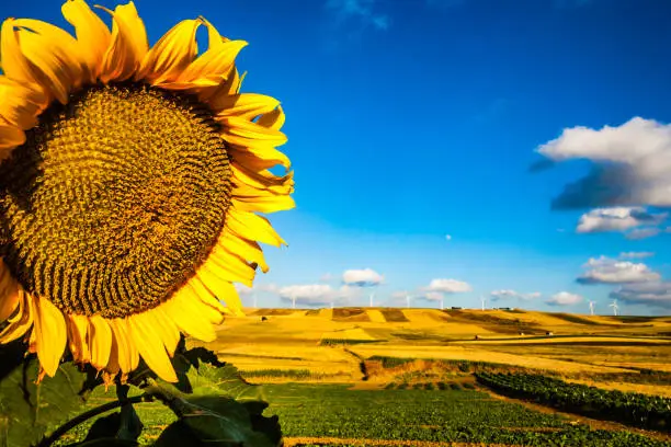 Photo of Sicily